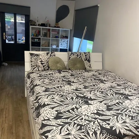 Baccara 俄斯特拉发