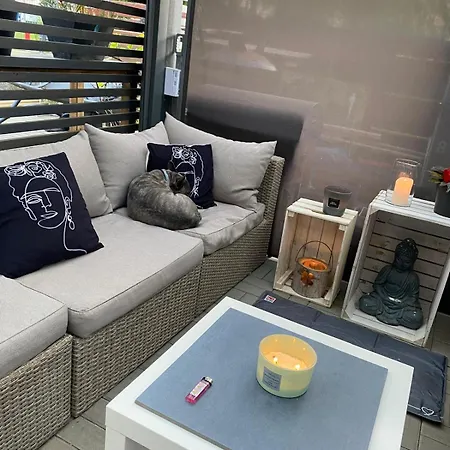 Baccara 俄斯特拉发