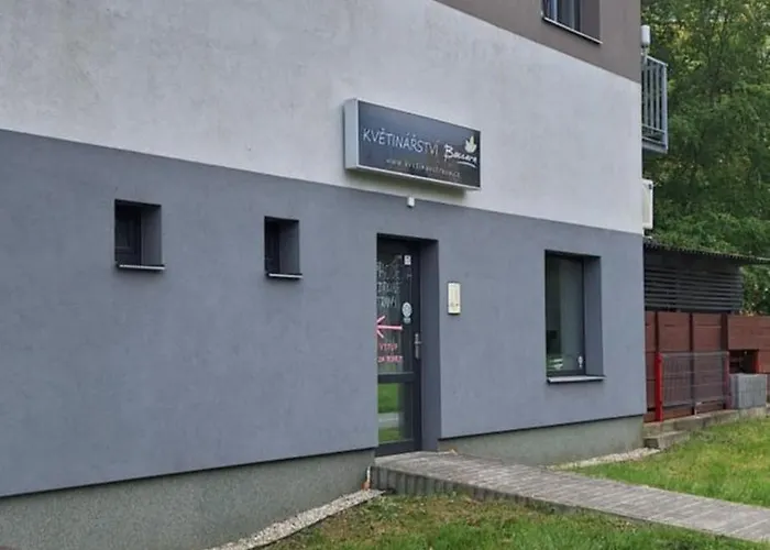 Apartment Baccara Ostrava