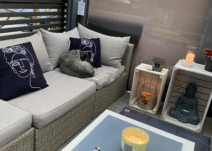 Baccara 俄斯特拉发